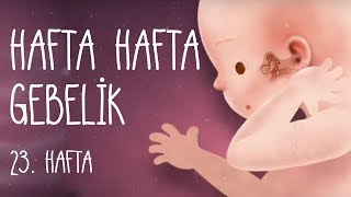 Hafta Hafta Gebelik 23 hafta [upl. by Cleo968]