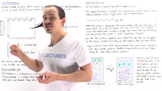 SDSPolyacrylamide Gel Electrophoresis [upl. by Thaddaus]