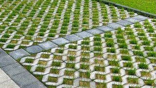 Grass Pavers nature pavers viralvideo garden home grass landscape shorts [upl. by Pogah]