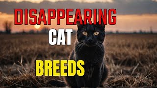 The Shocking Reason Some Cat Breeds VANISH [upl. by Alodee]