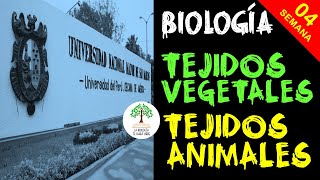 🌳 Biología 4 pre UNMSM Tejidos vegetales y tejidos animales ✅ ⚛️ [upl. by Poler501]