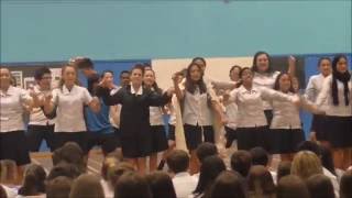 House Haka Contest 2016 Paraparaumu College [upl. by Lu770]