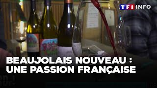 Beaujolais nouveau  une passion française｜TF1 INFO [upl. by Belldame]