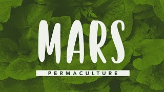 Que faire dans son jardin permaculture en mars permaculture [upl. by Estevan]