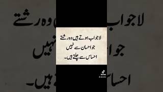 Sunday youtube quotes music unfreezemyacount missyoutayaabu poetry islamicfigure [upl. by Landsman]