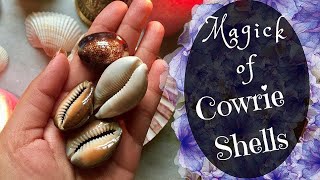 The Secret Spiritual Powers Of Cowries how to use Cowries to Attract Money Love Favour [upl. by Nitin]