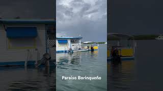 La Parguera Lajas Puerto Rico travel discoverpuertorico caribbeanisland beach [upl. by Harri338]