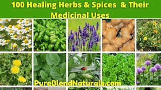 Top 100 Best Healing Medicinal Herbs Spices And Plants Names Health Benefits And Medicinal Uses [upl. by Harbert618]