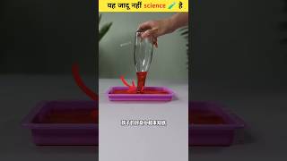 Top 10 Easy Science Experiment 😯🧪 scinceexperiment science [upl. by Ynafets]