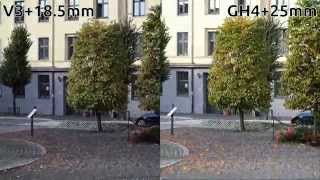 Autofocus comparison using the Lumix GH4 with Leica 25mm f14 and Nikon V3 with 185mm f18 [upl. by Nitza]