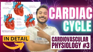 cardiac cycle physiology  physiology of cardiac cycle of heart  phases of cardiac cycle physiology [upl. by Meluhs]