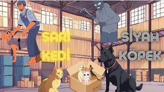 Siyah Köpek ve Sarı Kedi Maceraları Hırsızı Yakalayalım Çizgi Film Çocuklar İçin Eğitici Öğretici [upl. by Oikim]