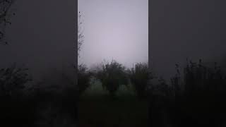 Buon pomeriggio sta scendendo la nebbia in questo sabato pomeriggio 16 11 2024 [upl. by Ebeohp]