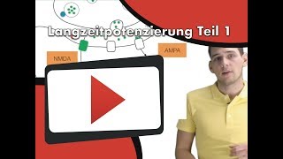 Langzeitpotenzierung Teil 1  im Interview mit Dr Weigl [upl. by Harwell]