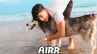 Airr  Enjoy Life Music Video [upl. by Aliam]