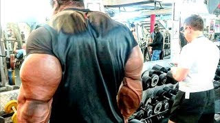 Real Life Giant from Venezuela  Mass Monster in The Gym [upl. by Kemme]