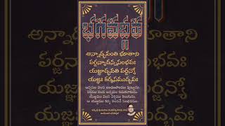 భగవద్గీత శ్లోకాలు With Meaning Telugu Bhagavad Gita Telugu learning Bhagavad Gita Ghantasala Telugu [upl. by Aicileb839]