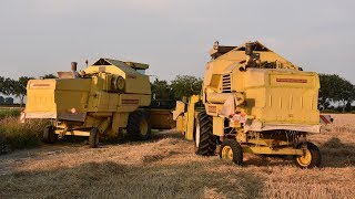 2x New Holland Clayson 8070  tarwe dorsen [upl. by Specht]