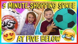 5 MINUTE SHOPPING SPREE AT 5 BELOW  We Are The Davises [upl. by Slohcin969]