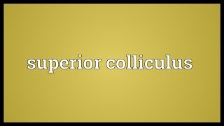 Superior colliculus Meaning [upl. by Woehick]