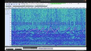 Sound geomagnetic field 19102024 start17033h 41h53m  accelerated 1000 times 1 Hz  1000 Hz [upl. by Adnotal]