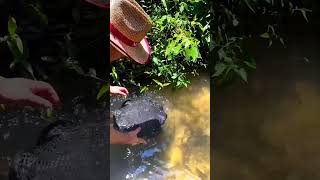 Fishing technique😱 New Viral Gadgets Smart Appliances Kitchen Utensils Home Inventionsshorts [upl. by Ahsieni]