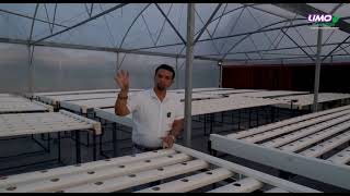 Halawatha Hydroponic Farm [upl. by Bartram]