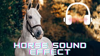 Horse sound effect  Horse neighing sounds Horse sounds  What sounds does a horse make [upl. by Carling]