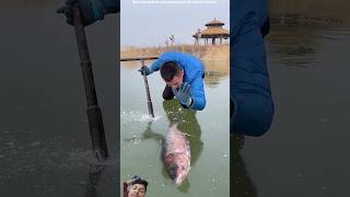 Amazing fact video 🤫🤫🤫 fishing icefish fish carpfishing fisherman bigfish [upl. by Duwalt]