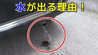 車のマフラーから水が出る理由とは！？ [upl. by Adnaloy]