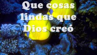 Que cosas lindas que Dios creó 0001 [upl. by Woodford]