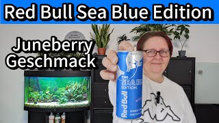 Lecker oder enttäuschend Red Bull Energy Drink Sea Blue Edition Juneberry im Geschmackstest [upl. by Rutger264]