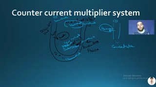 Nerd Renal Physiology5 Reabsorption Forces  Urine Concentration and Acid  base Balance [upl. by Ezmeralda]