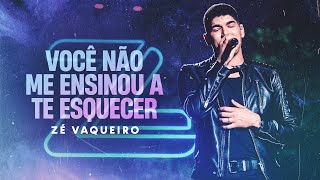 Zé Vaqueiro  VOCÊ NÃO ME ENSINOU A TE ESQUECER ZÉ VAQUEIRO Video Oficial [upl. by Missy]