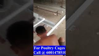 Complete Installation of Layer Cages by Emon Hatcheries emonhatcheries poultrykeeping farming [upl. by Tongue]