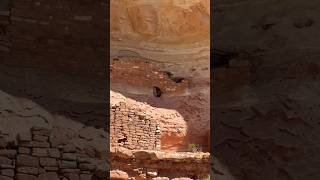 Ancient Cliff Dwellings Canyon of the Ancients National Monument Colorado 🏜️🇺🇸 hiking colorado [upl. by Tripp]