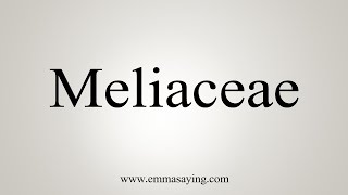 How To Say Meliaceae [upl. by Kire]