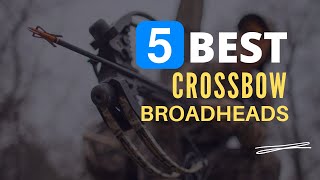 ⭕ Top 5 Best Crossbow Broadheads 20232024 Review and Guide [upl. by Carmelina]