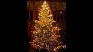 Celtic Woman O Tannenbaum Instrumental [upl. by Marlane]