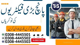 Top 5 Jobs In Lahore  𝐀𝐩𝐩𝐥𝐲 𝐎𝐧 ‪talentconnectingservices ‬ [upl. by Rosecan]