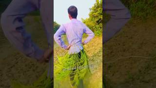 new dance video 🥰 funny dance comedy viral comedyfunny funny clips [upl. by Jermayne349]