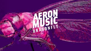 AeronMusic  Dragonfly Dragonfly EP [upl. by Hewett734]