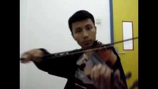 The Corrs  The Minstrel Boy Violin Cover [upl. by Ztnarf]