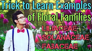 Amazing Tricks to Learn Examples of Families Solanaceae Liliaceae amp Fabaceae  NCERT Mnemonics [upl. by Nai692]