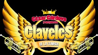 QUIEN ERES TU  LOS CLAVELES DE LA CUMBIA  SITIO OFICIAL PRIMICIA 2016 [upl. by Aeriela]