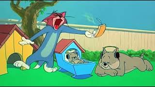 Tom and Jerry screaming with different sounds for 1 minute [upl. by Erl947]