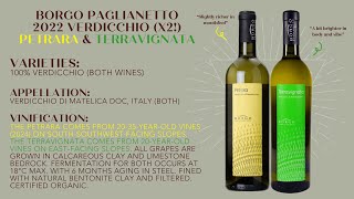 WINECULT Bottle Breakdown  Borgo Paglianetto 2022 Verdicchio x2 Petrara amp Terravignata [upl. by Paucker]