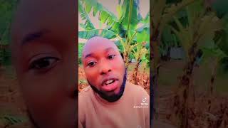 Madiba øg 🔥🔥music odiovideo funny kigalicomedyflims madiba tv show [upl. by Obediah]