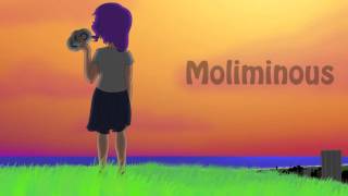 Moliminous Network Intro [upl. by Nnyluqcaj]