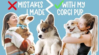 9 BIG Mistakes I Made With My Corgi Puppy  Everything I Wish I Knew Before I Got My Corgi Dog [upl. by Caprice]